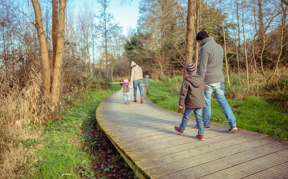 Parents walking with their young children along trail in forest