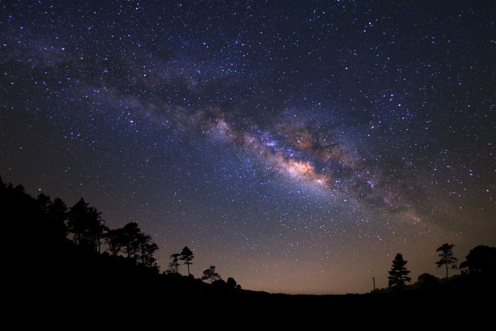 Landscape silhouette of tree with milky way galaxy and space dust in the universe, Night starry sky with stars