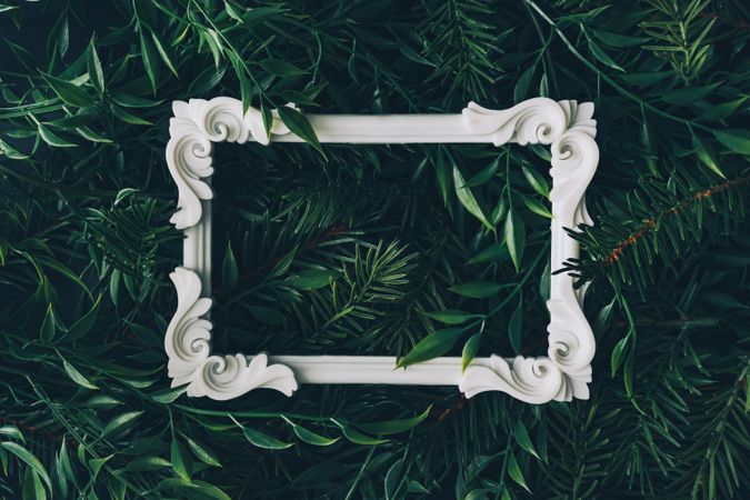 Picture frame immersed in densely packed leaves