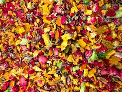 Colorful fruity blend tea