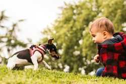 baby boy playing with a little dog in a park