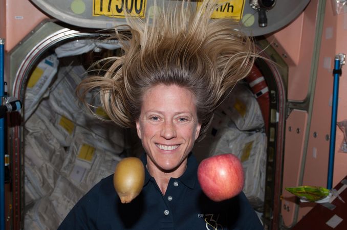 NASA Astronaut Karen Nyberg, Expedition 36 flight engineer