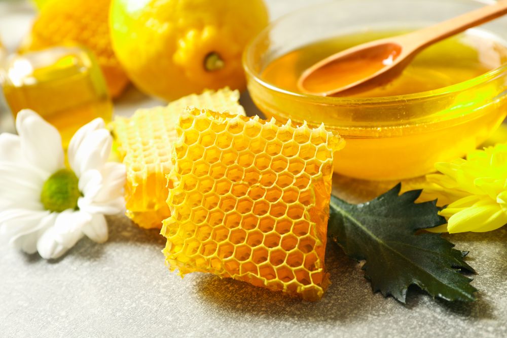 Honeycombs, lemon and flowers on grey background, close up