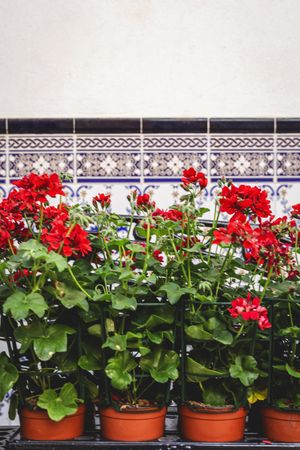 Typical Andalusian Spanish villages