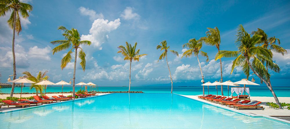 Pool surrounded with lounge chairs and palm trees, wide