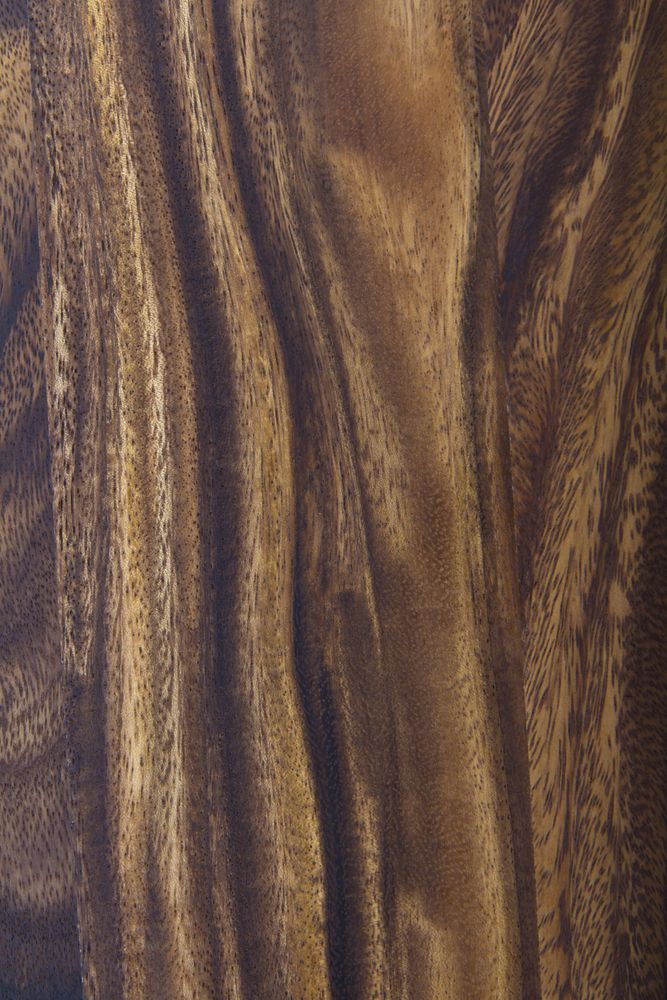 Walnut Wood
