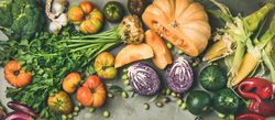 Fresh produce on concrete background, with halved squash, corn, cabbage, wide composition