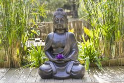 Meditating Buddha Statue with a purple lotus on his hands on a backyard.