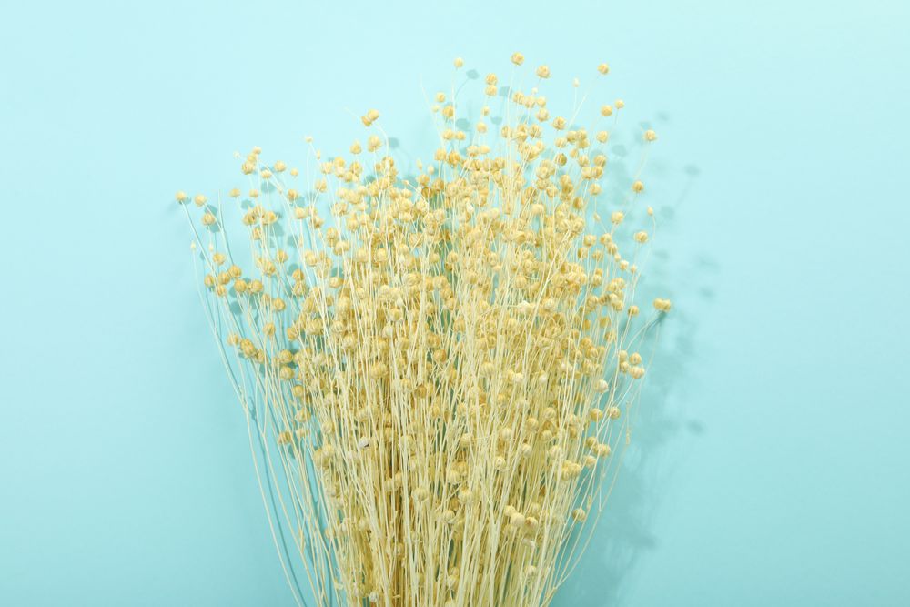 Dried flower bunch on blue back ground with copy space