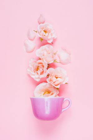 Pink coffee mug, with pink roses, on a pink background