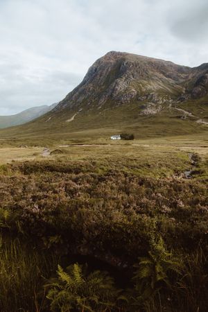 Lonely house in field by mountain