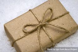 Wrapped brown paper present laying in the snow 47mm3z