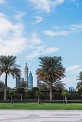 Cloudy sky over park with palms