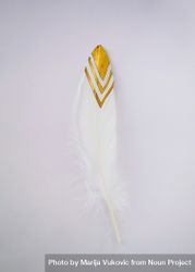 Feather with gold trimming 4mnddb