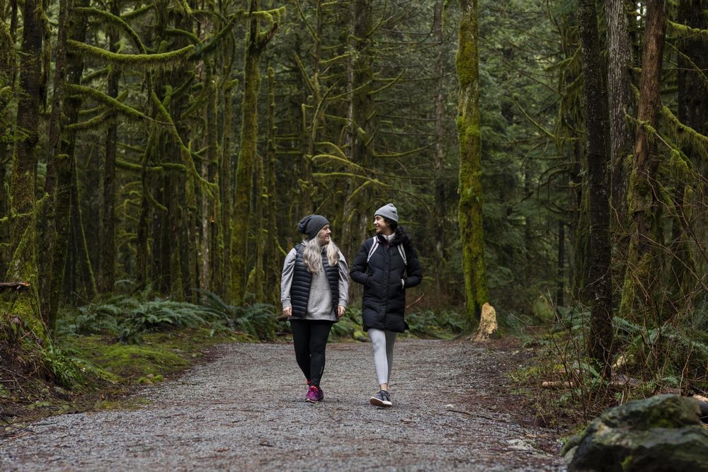 Woman and young female walking among tall trees
