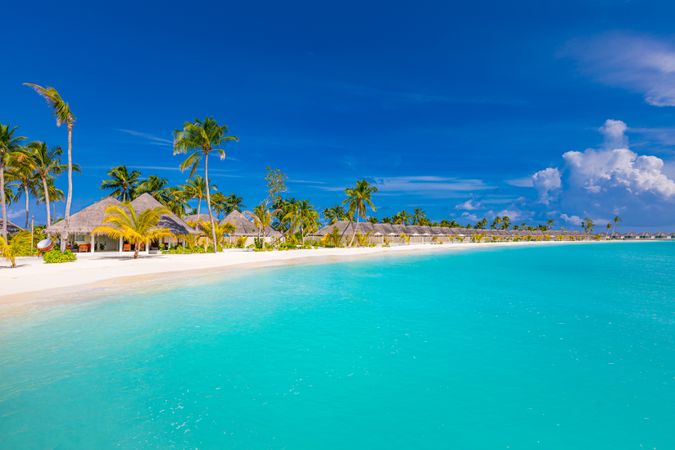 Tropical beach resort with recliners