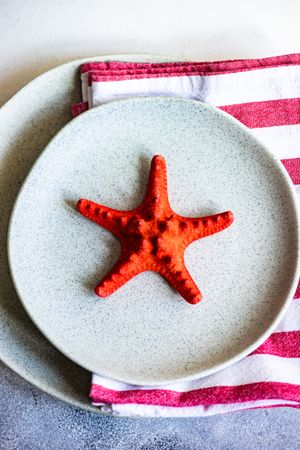 Marine table setting with red sea star on plate