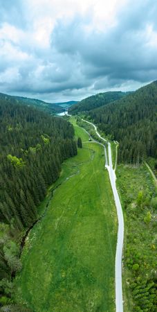 Drone view with the Forest valley surrounded by evergreen trees