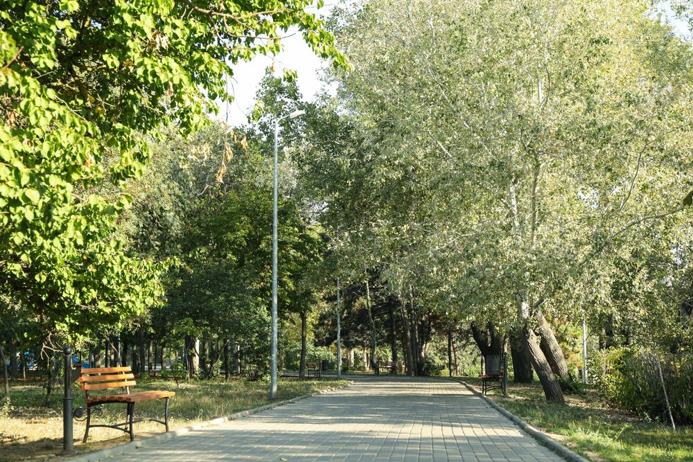 Beautiful city park in bright sunny morning