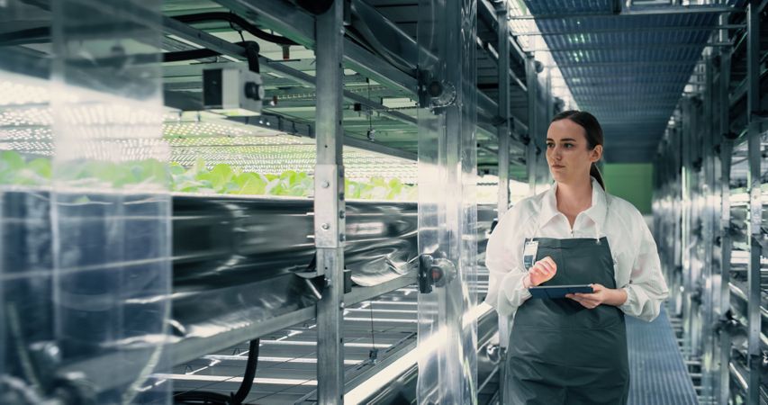 Biology Scientist Working at Vertical Farm Next to Rack with Natural Eco Plants. Female Farming Engineer Using Tablet Computer, Organizing and Analyzing Crops Information Before Distribution