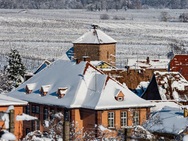 An old Alsatian town under the snow. The bell tower of the cathedral and the roofs of medieval houses.