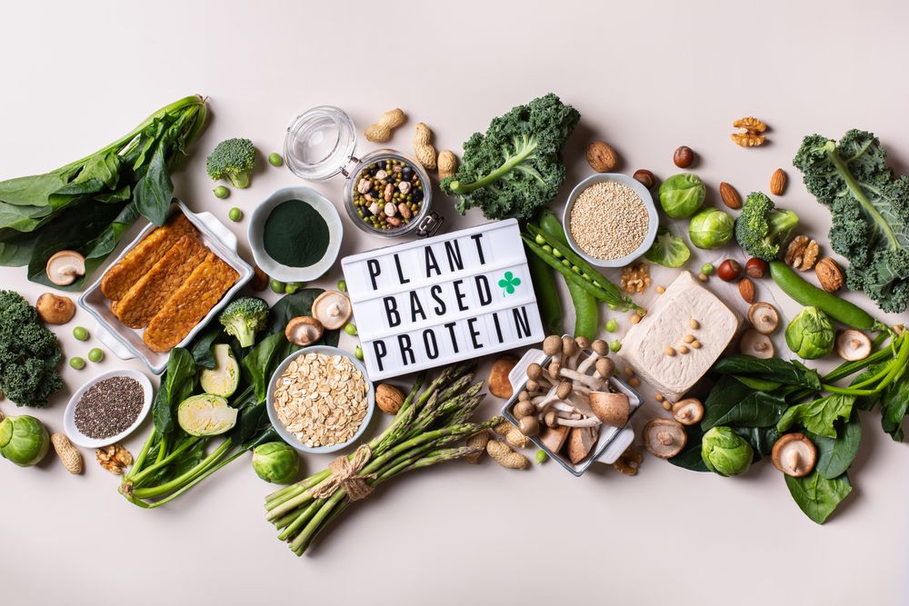 Arrangement of healthy vegan, plant based protein source and body building food with sign