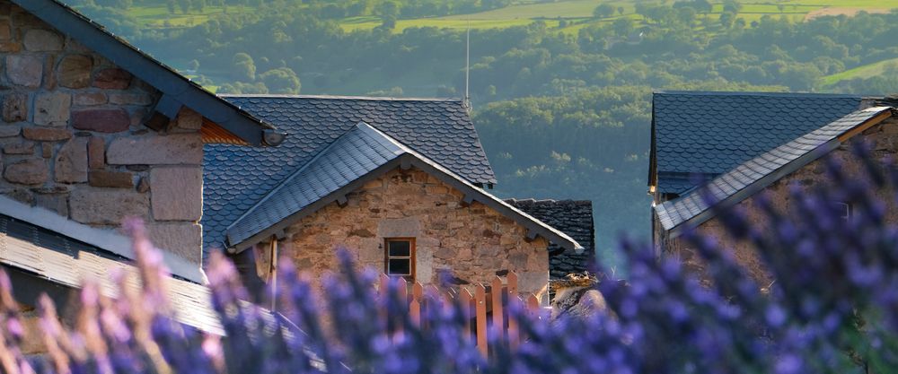 Lavender in the foreground of a French village