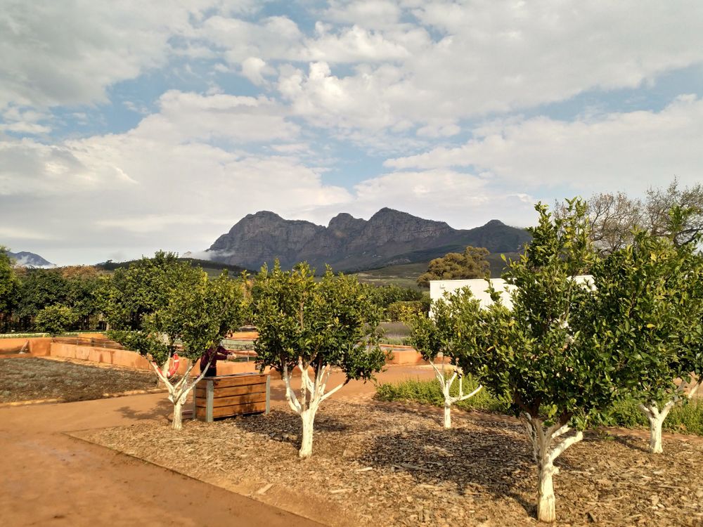 Farm