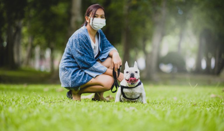 A woman wearing a medical mask sitting on the lawn with a French bulldog.