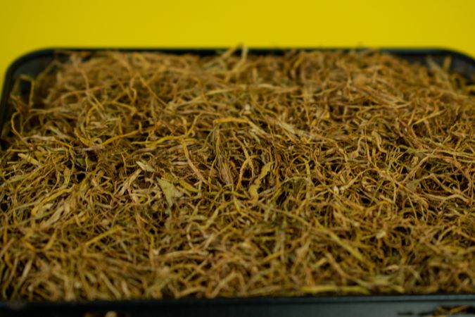Close up of loose leaf tobacco