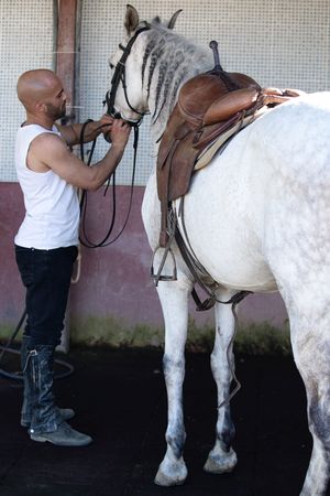 Man in sleeveless shirt fastening reins on his horse