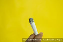 Fingers holding lit hand rolled cigarette on yellow background 49mBzB