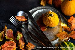 Autumn table settings of ceramic plates with leaves, gourds and cutlery 4jYGR5