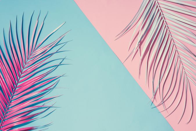 Tropical leaves on pastel pink and blue background
