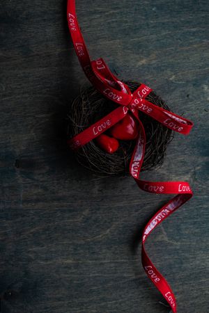 Valentine's day concept with bird's nest with hearts and ribbon
