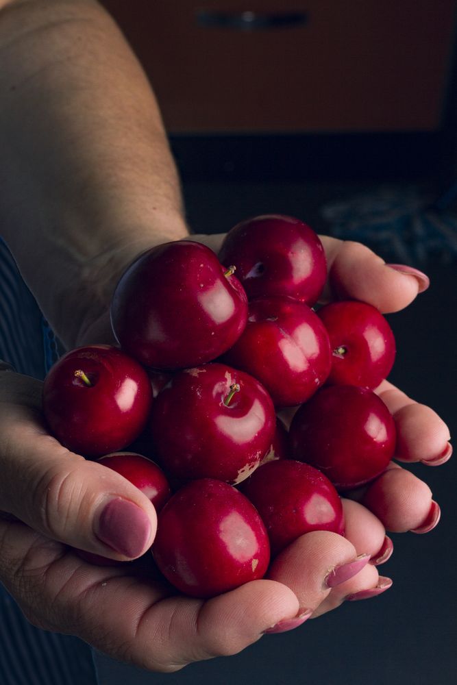 Crop hands with ripe cherries