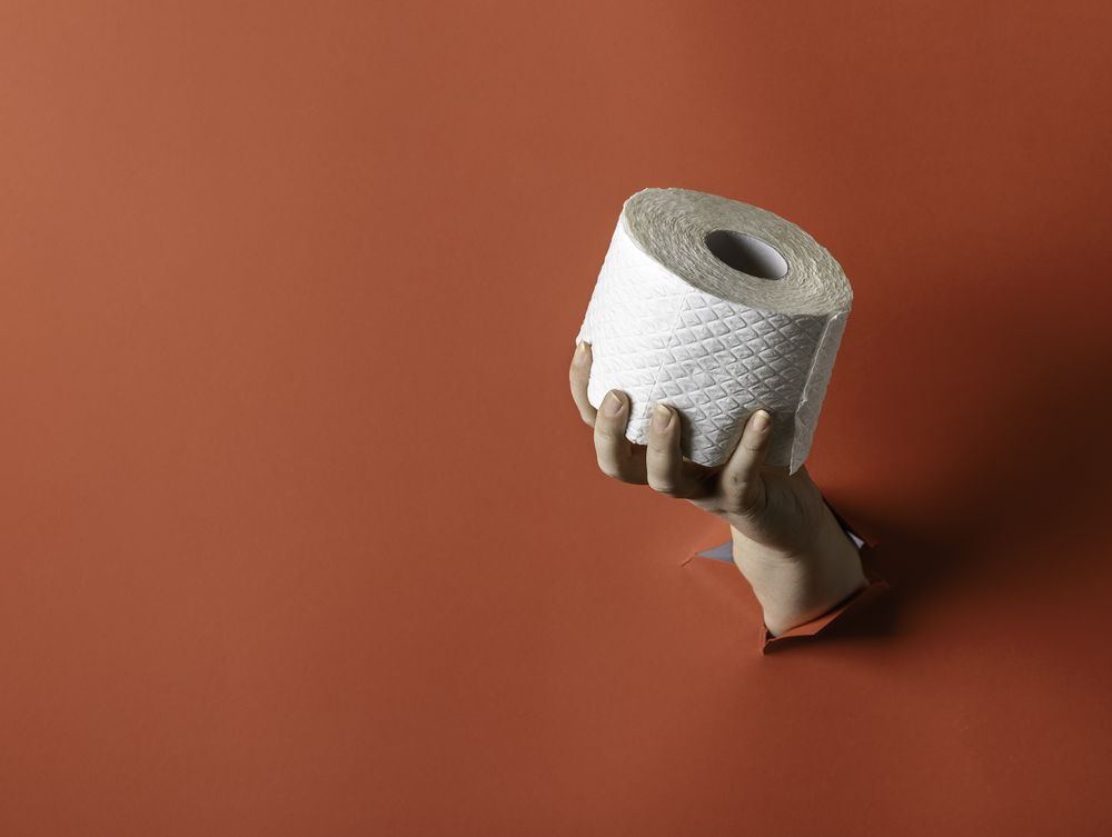 Toilet paper punched through wall