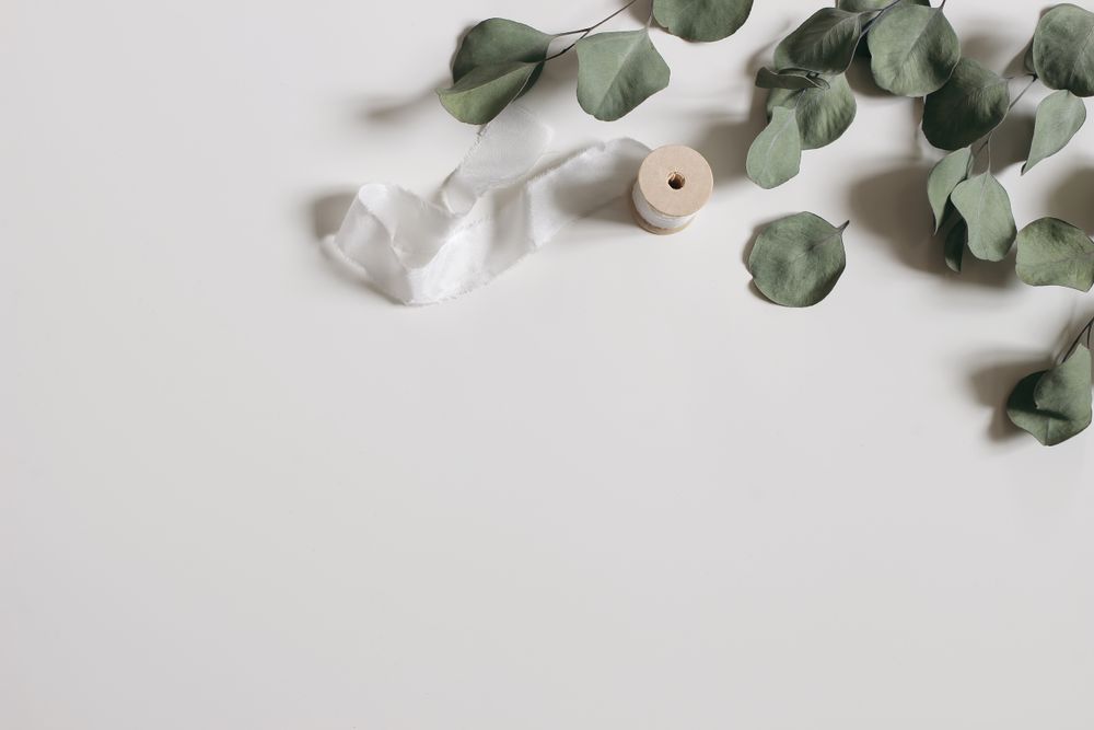 Dry eucalyptus tree leaves, branches and silk ribbon isolated on table with copy space