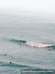 People surfing on sea waves 5avVa4