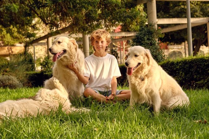 Boy stroking fluffy dogs on lawn
