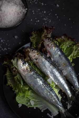 Homemade salted sardines on greens on plate