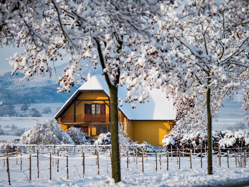 Winter's Tale. Snow-covered clean light landscape of Alsace.