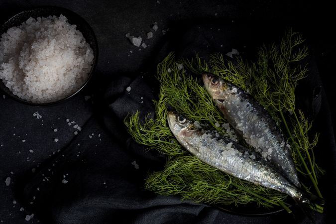 Homemade salted sardines on greens on plate