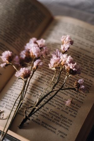 Purple flower on book page