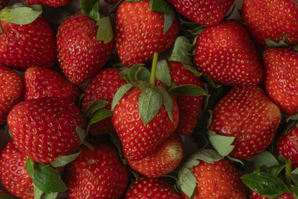 A fresh, ripe strawberry captured in detail