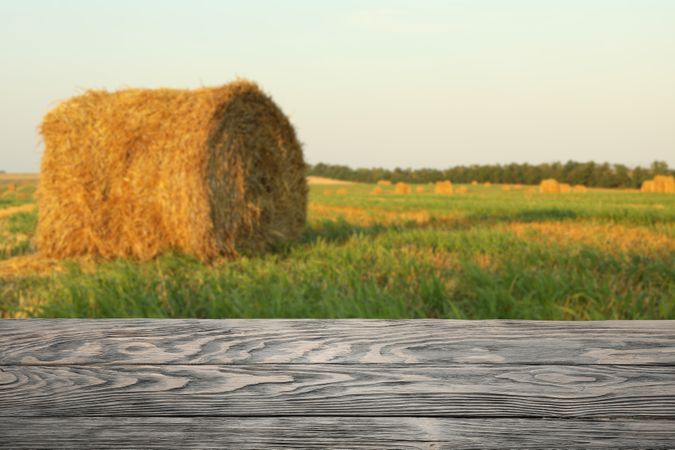 Wooden table against field with straw rolls. Agriculture concept. Mockup