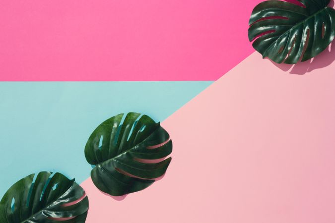 Tropical leaves on geometric pastel pink and blue background