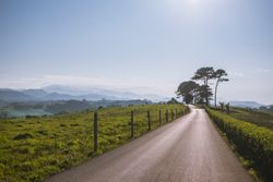 Empty road amid sunny green valley