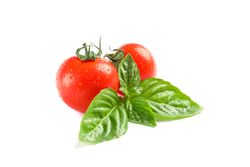 Fresh cherry tomatoes with basil isolated on blank background. Ripe vegetables
