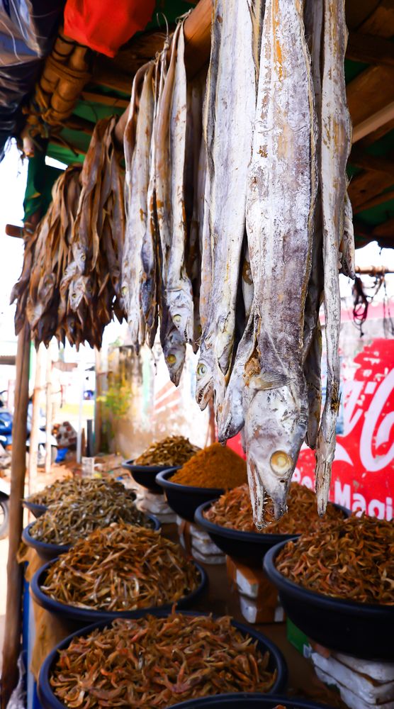 Assorted Dried Fish and Spices at Local Market Stall